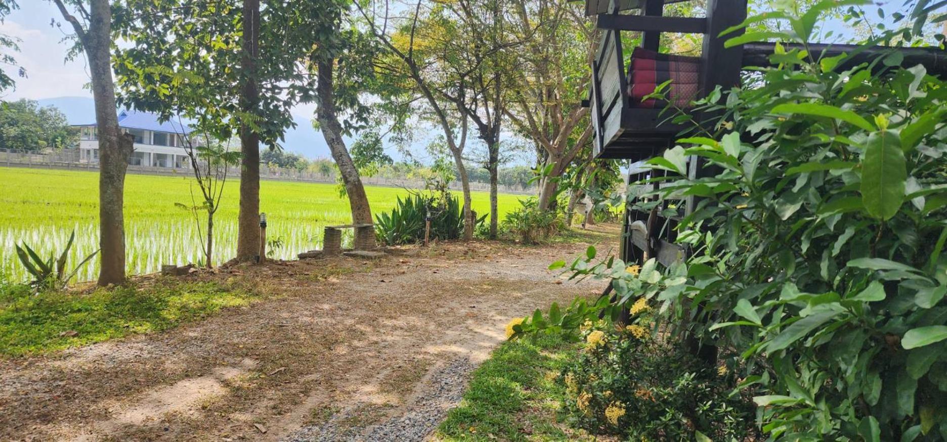 Tung Tong Homestay & Camping Mae Rim Exterior photo