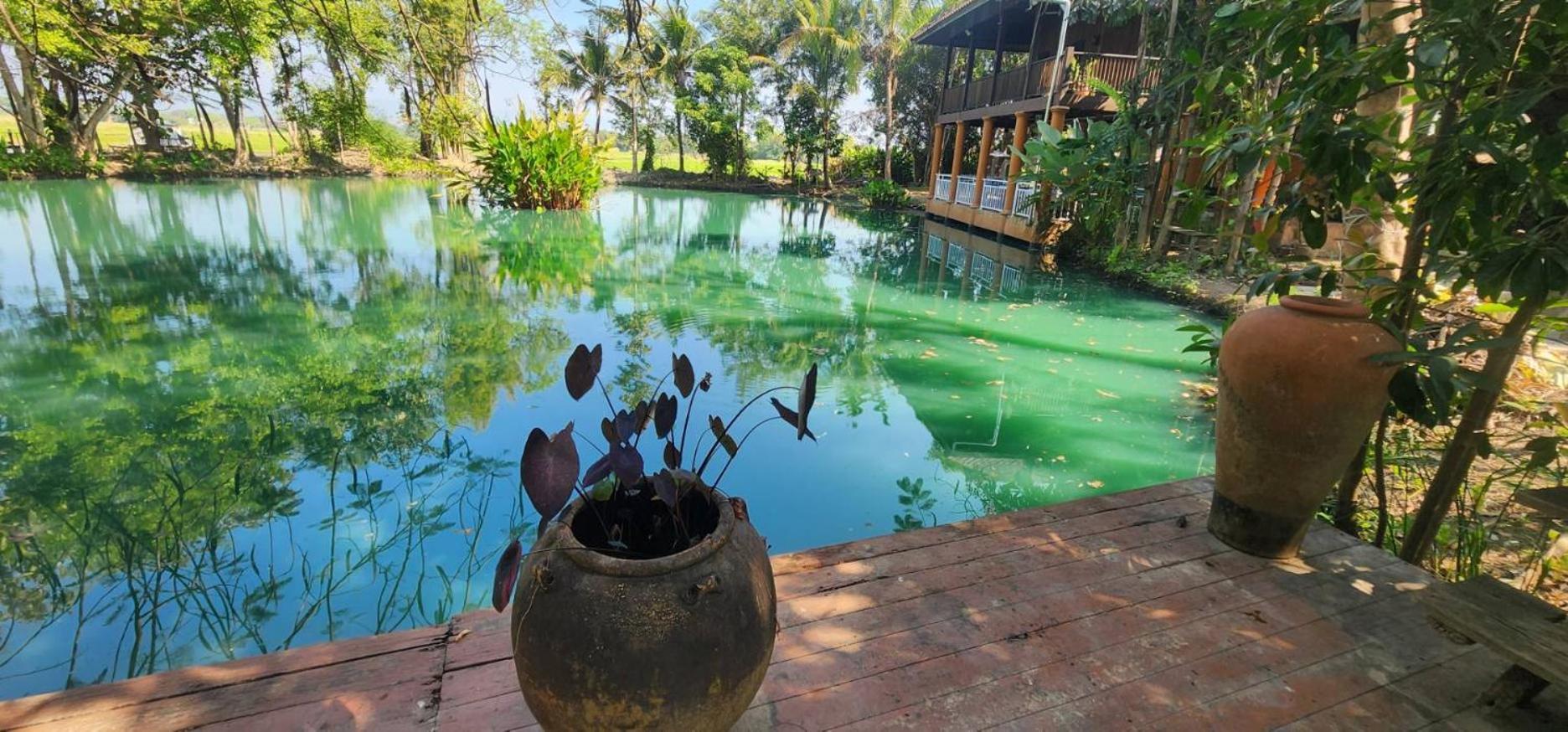 Tung Tong Homestay & Camping Mae Rim Exterior photo