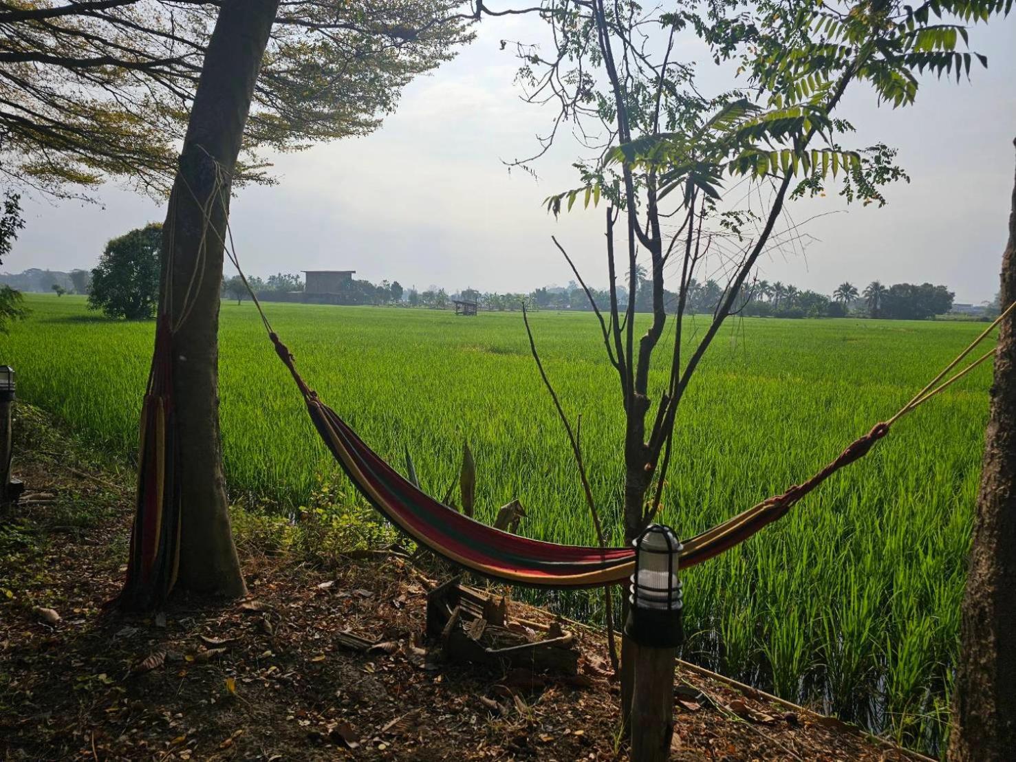 Tung Tong Homestay & Camping Mae Rim Exterior photo