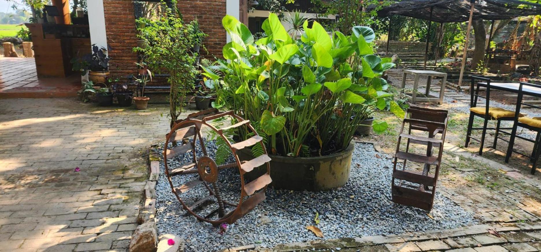 Tung Tong Homestay & Camping Mae Rim Exterior photo