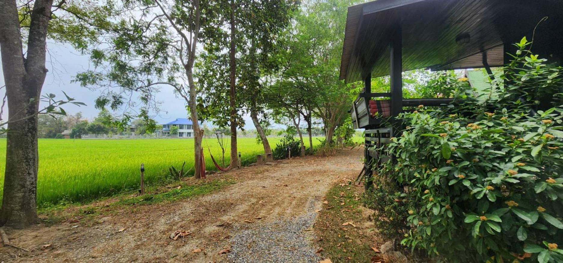 Tung Tong Homestay & Camping Mae Rim Exterior photo