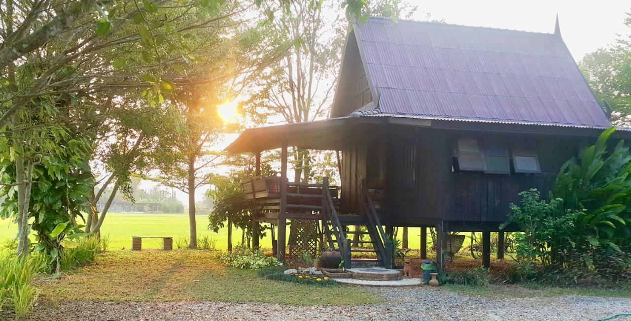 Tung Tong Homestay & Camping Mae Rim Exterior photo
